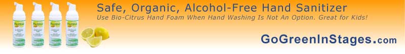 link to Bio-Citrus  Hand Sanitizer - organic - alcohol-free